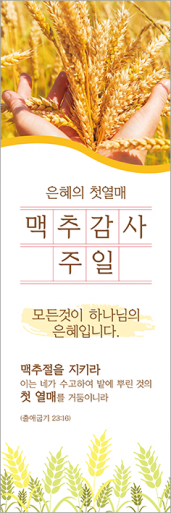 맥추절-33