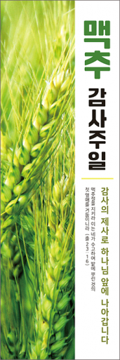맥추절-39