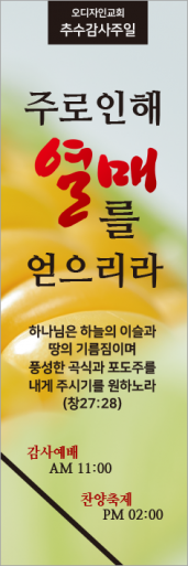 추수감사절-27