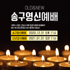 신년,주헌-4