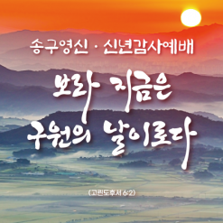 신년,주헌-8