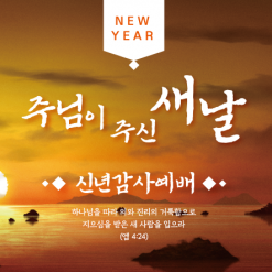 신년,주헌-9