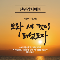 신년,주헌-21