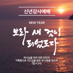 신년,주헌-22