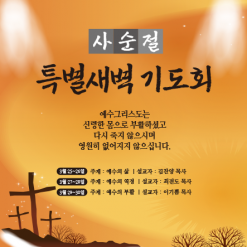 사순,고난-17