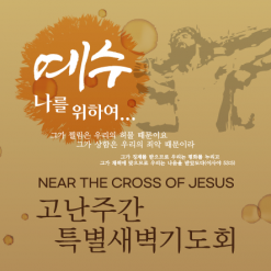 사순,고난-30
