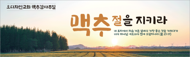 맥추절-17
