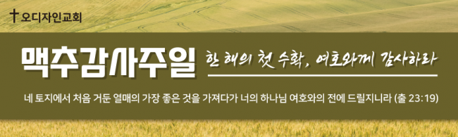 맥추절-24