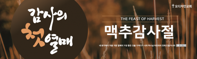 맥추절-29