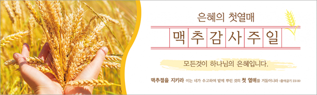 맥추절-33