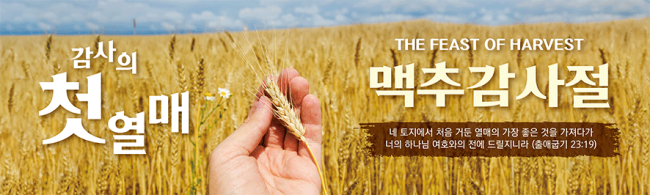 맥추절-37