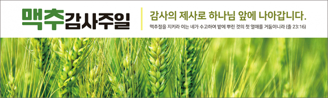 맥추절-39