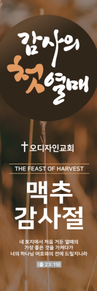 맥추절-29