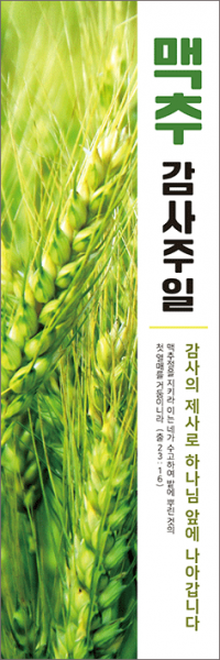 맥추절-39