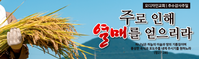 추수감사절-29