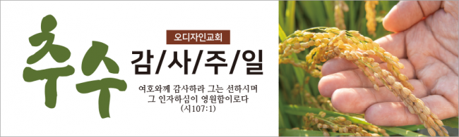추수감사절-30