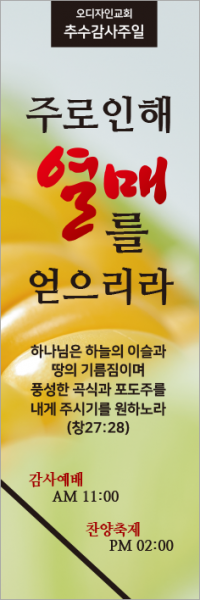 추수감사절-27