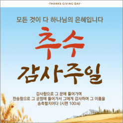 추수감사절-2