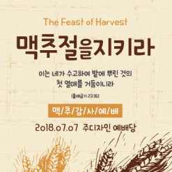 맥추절-2