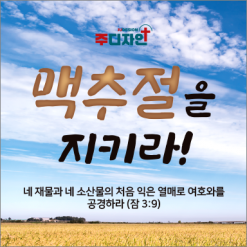 맥추절-5