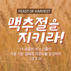 맥추절-6