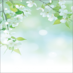 배경-여름114
