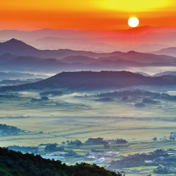 배경-신년,주헌18