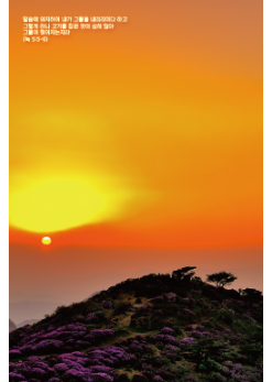 배경-신년,주헌20