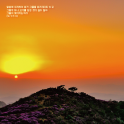 배경-신년,주헌20