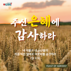 맥추절-7