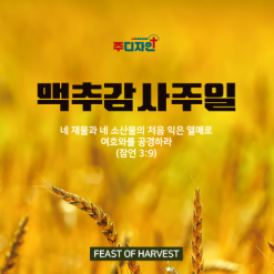 맥추절-8