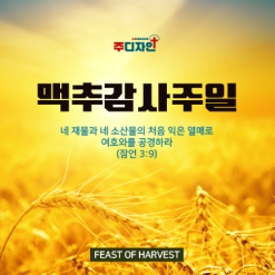 맥추절-9