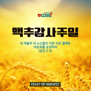 맥추절-9