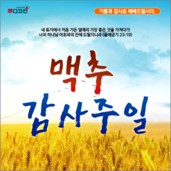 맥추절-11