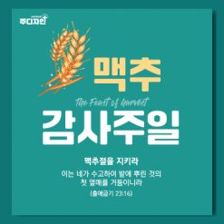 맥추절-13