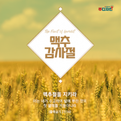 맥추절-15