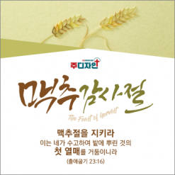 맥추절-16