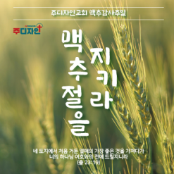 맥추절-18