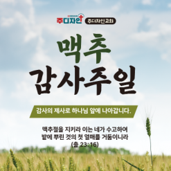 맥추절-20