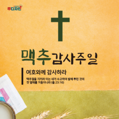 맥추절-21