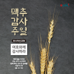 맥추절-22