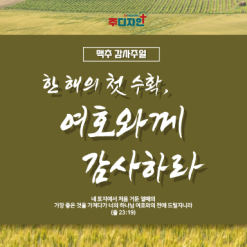 맥추절-24
