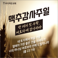 맥추절-25
