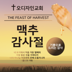 맥추절-27