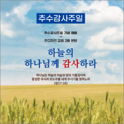 추수감사절-21