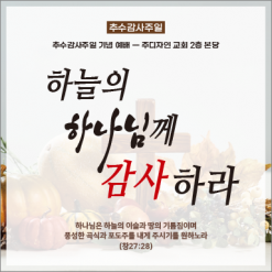 추수감사절-23