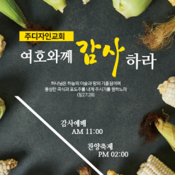 추수감사절-25