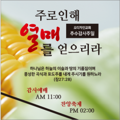 추수감사절-27