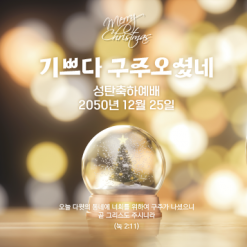 성탄절-24