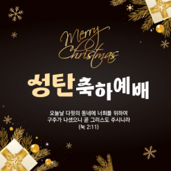 성탄절-29